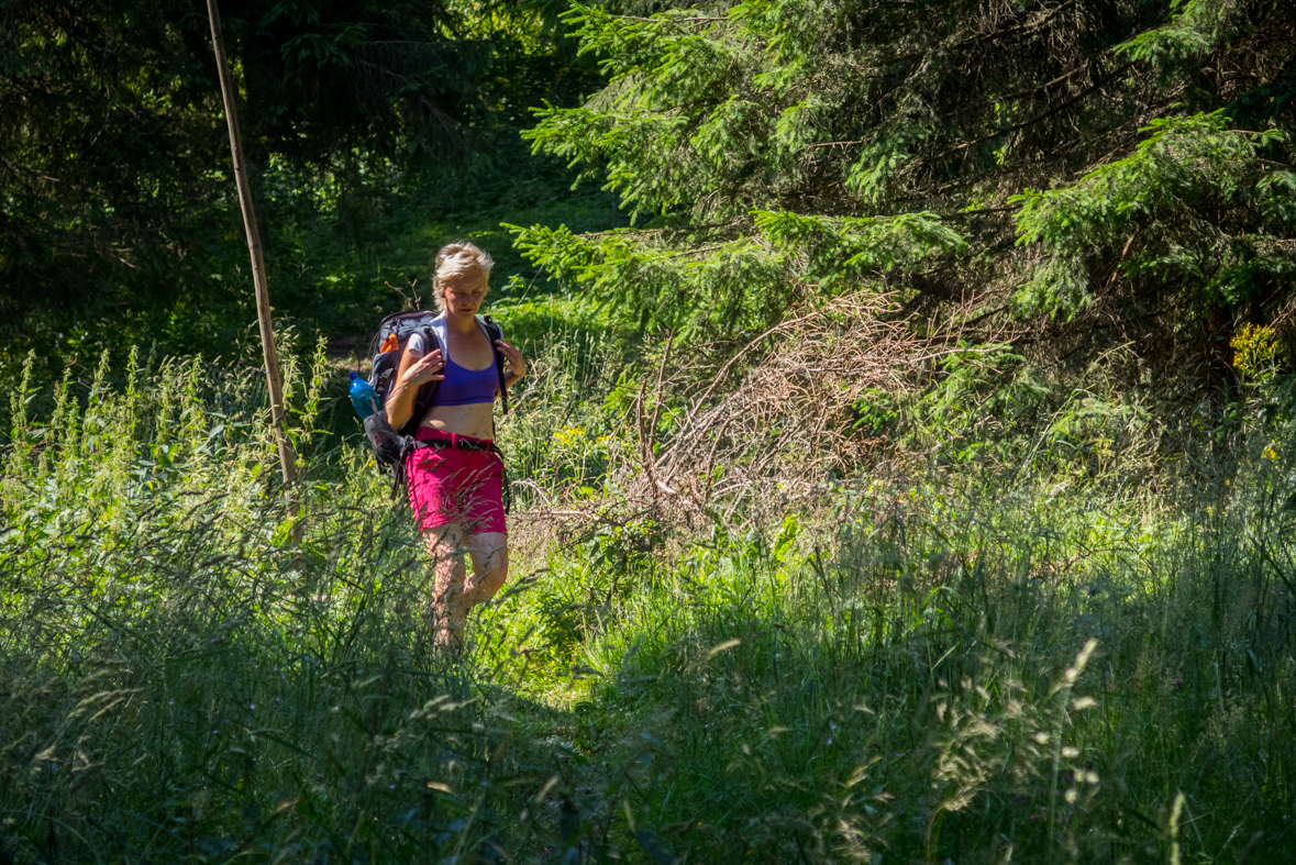 Cez Nižné Šiprúnske sedlo do Ružomberka (Veľká Fatra)