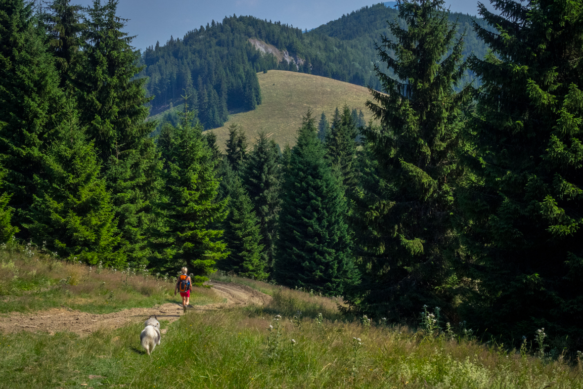 Cez Nižné Šiprúnske sedlo do Ružomberka (Veľká Fatra)