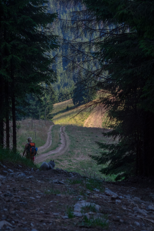 Cez Nižné Šiprúnske sedlo do Ružomberka (Veľká Fatra)