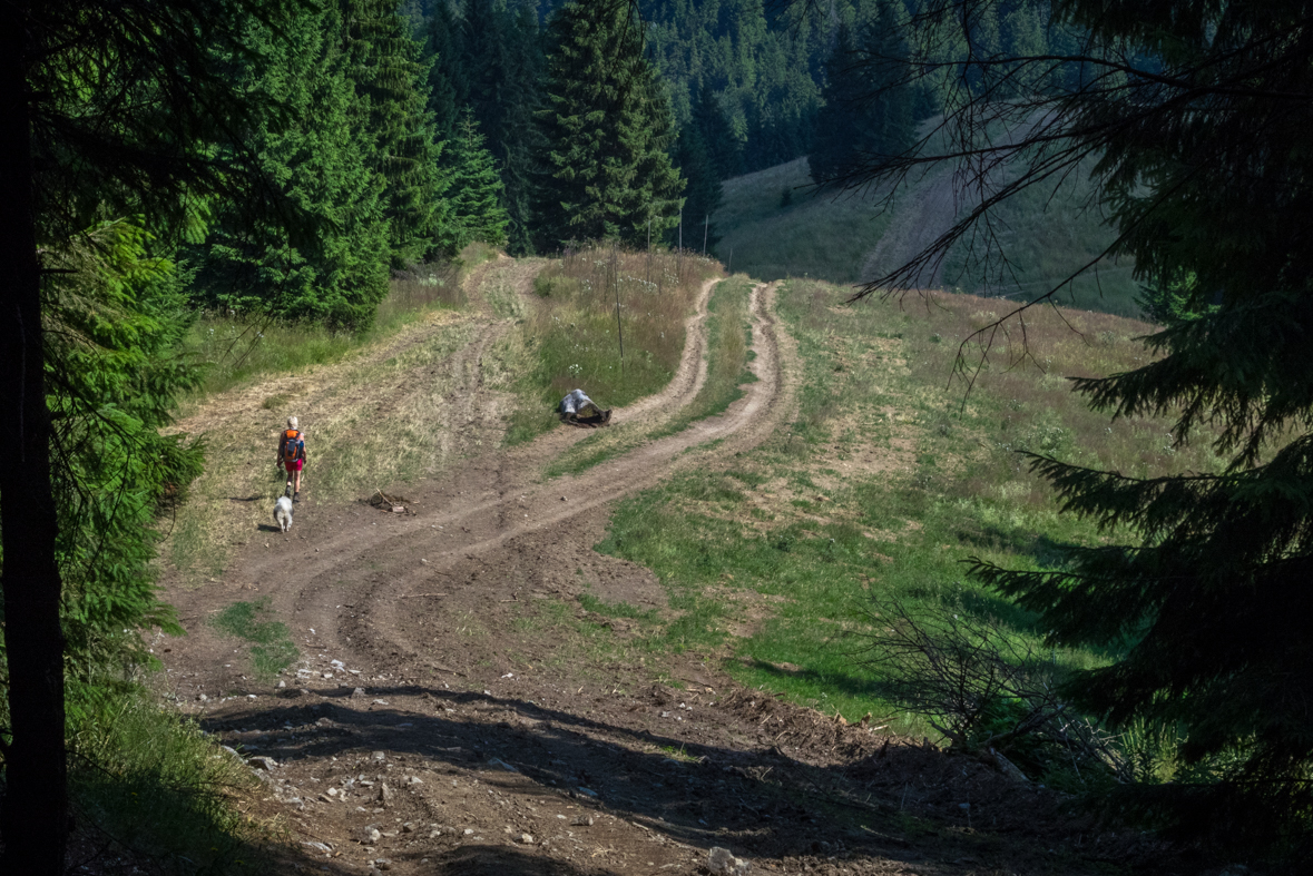 Cez Nižné Šiprúnske sedlo do Ružomberka (Veľká Fatra)