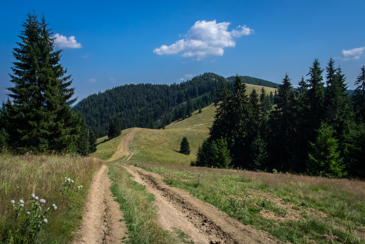 Cez Nižné Šiprúnske sedlo do Ružomberka (Veľká Fatra)