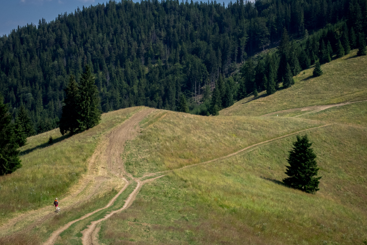 Cez Nižné Šiprúnske sedlo do Ružomberka (Veľká Fatra)