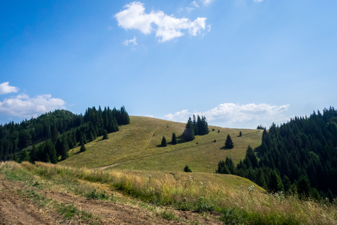 Cez Nižné Šiprúnske sedlo do Ružomberka (Veľká Fatra)