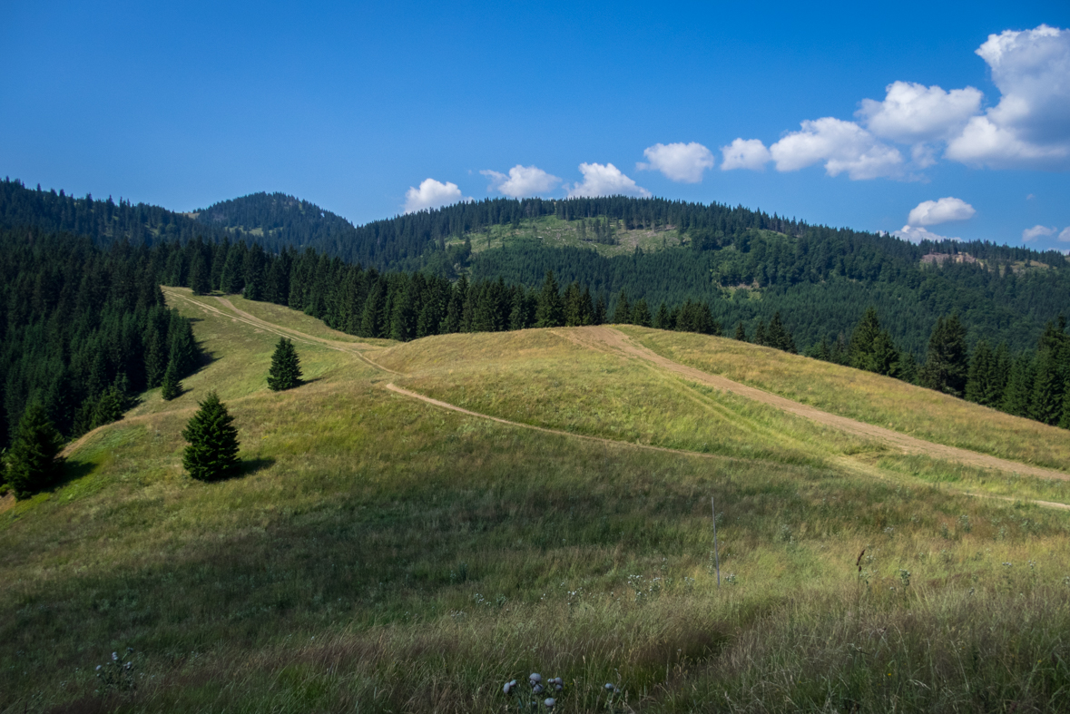 Cez Nižné Šiprúnske sedlo do Ružomberka (Veľká Fatra)