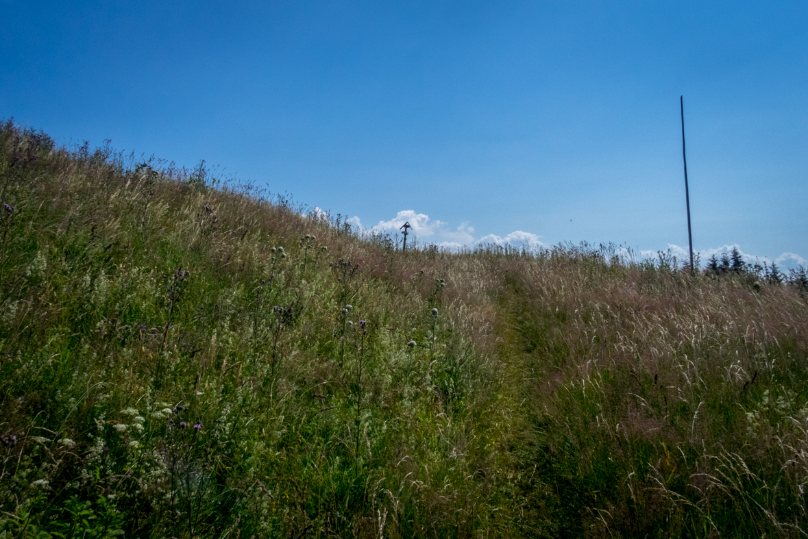 Cez Nižné Šiprúnske sedlo do Ružomberka (Veľká Fatra)