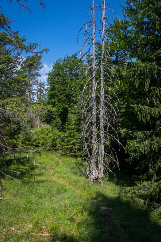 Cez Nižné Šiprúnske sedlo do Ružomberka (Veľká Fatra)