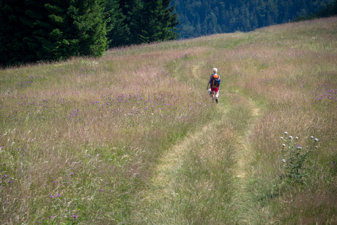 Cez Nižné Šiprúnske sedlo do Ružomberka (Veľká Fatra)