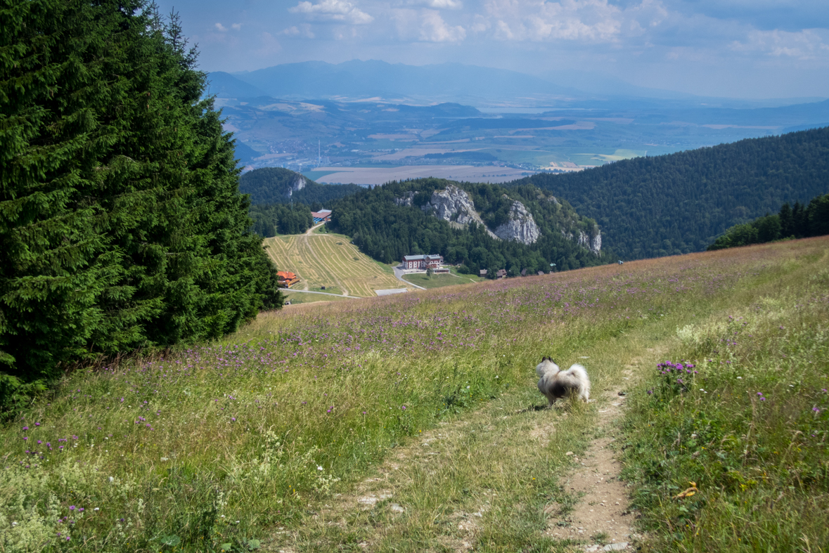 Cez Nižné Šiprúnske sedlo do Ružomberka (Veľká Fatra)