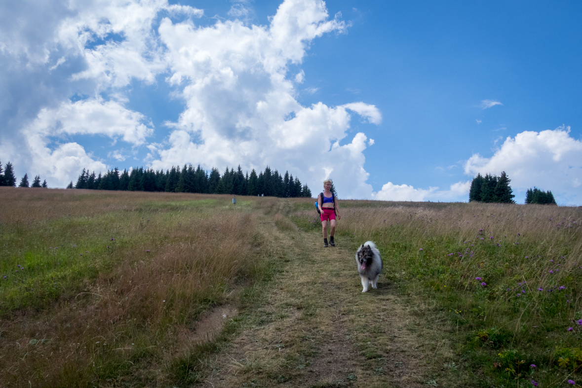 Cez Nižné Šiprúnske sedlo do Ružomberka (Veľká Fatra)