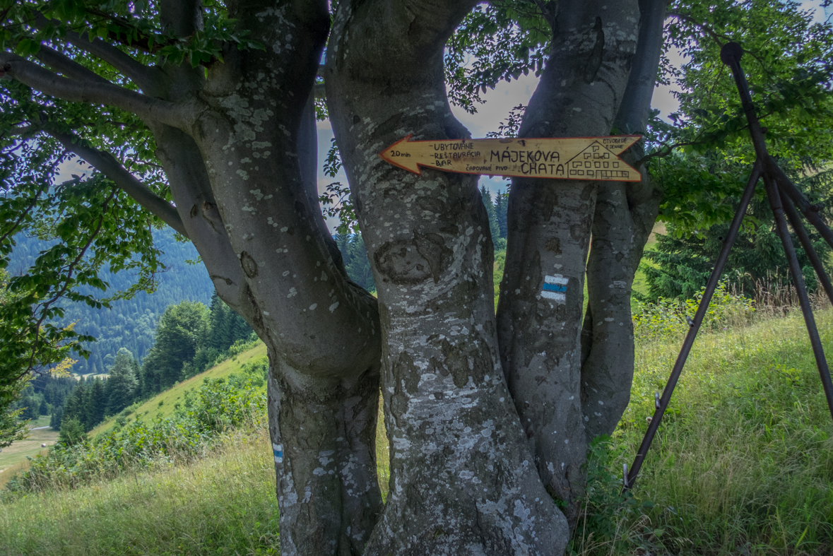 Cez Nižné Šiprúnske sedlo do Ružomberka (Veľká Fatra)