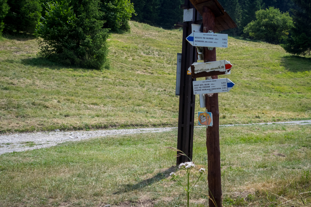 Cez Nižné Šiprúnske sedlo do Ružomberka (Veľká Fatra)