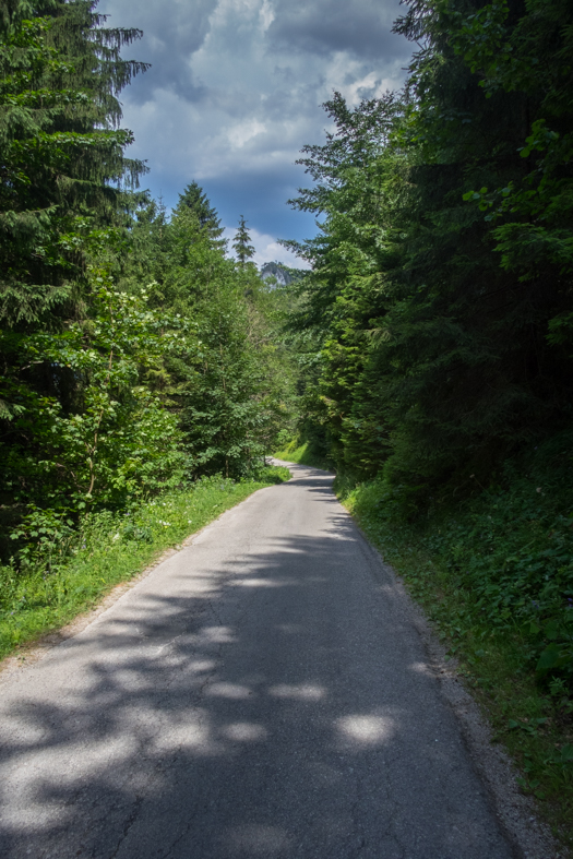 Cez Nižné Šiprúnske sedlo do Ružomberka (Veľká Fatra)