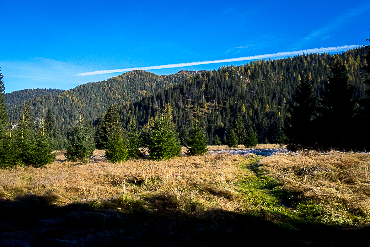 Ďumbier z Lúčok (Nízke Tatry)