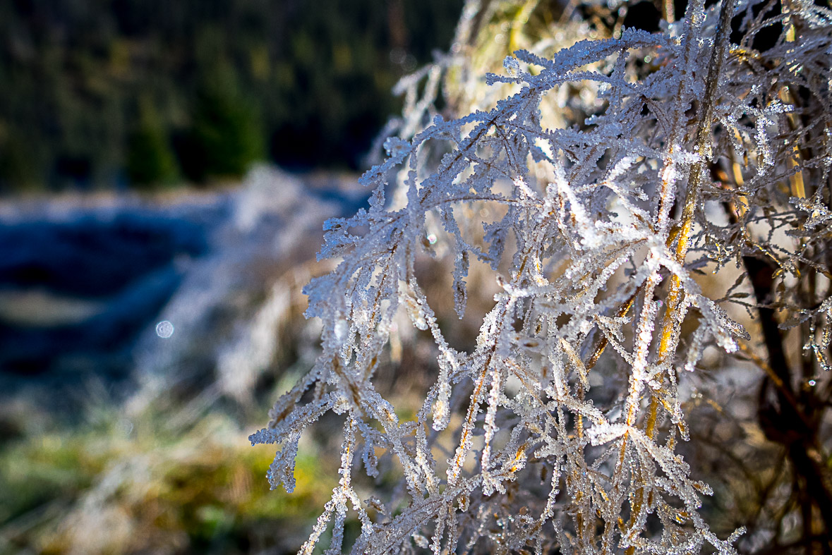 Ďumbier z Lúčok (Nízke Tatry)