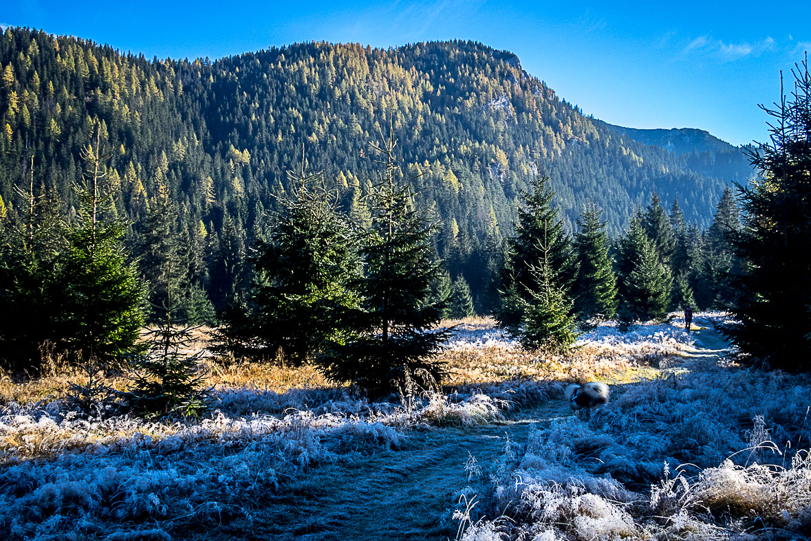 Ďumbier z Lúčok (Nízke Tatry)