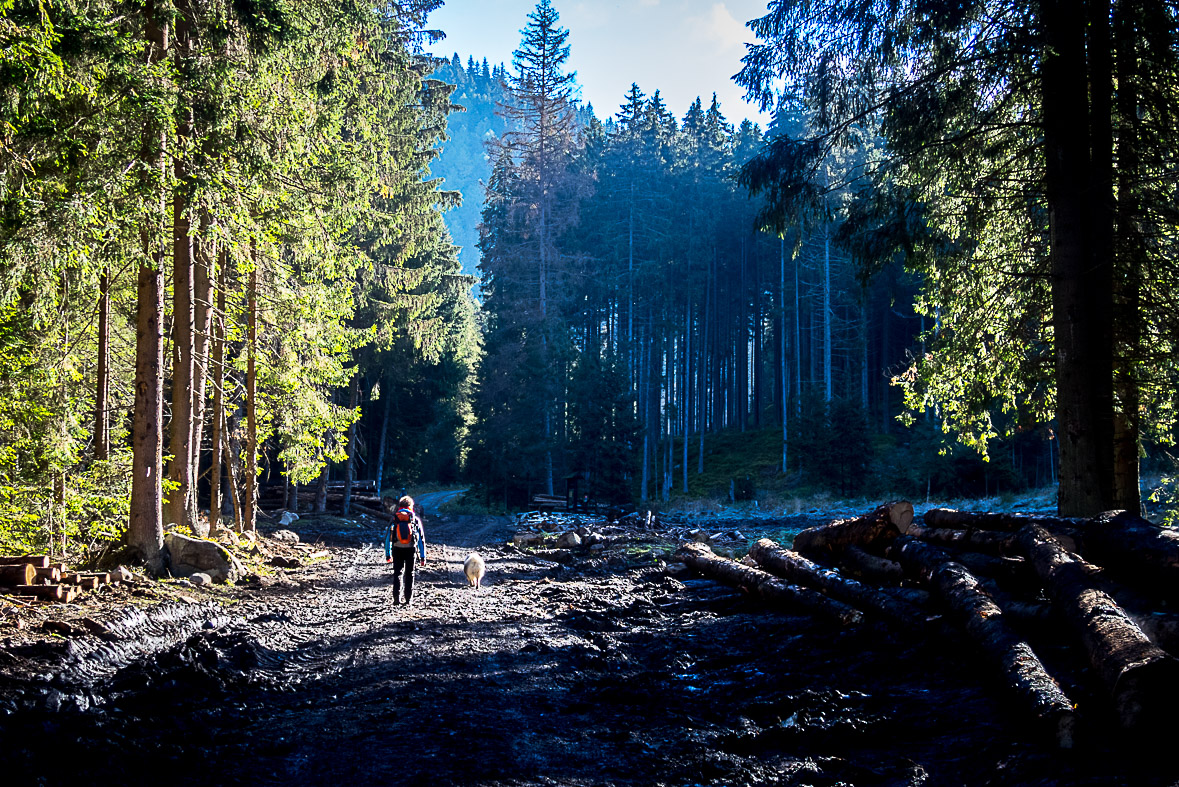 Ďumbier z Lúčok (Nízke Tatry)