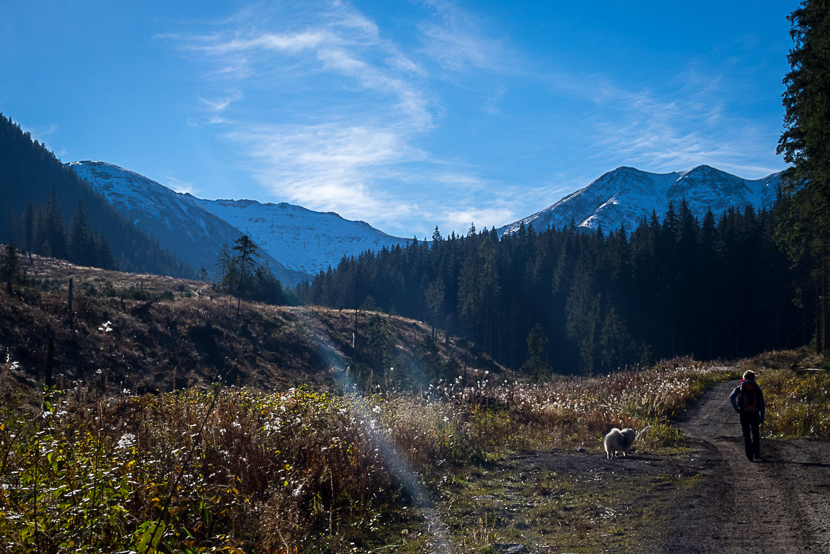 Ďumbier z Lúčok (Nízke Tatry)