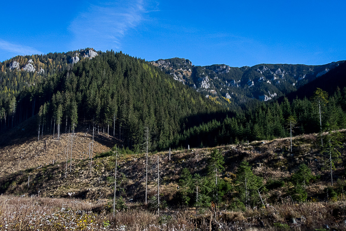 Ďumbier z Lúčok (Nízke Tatry)