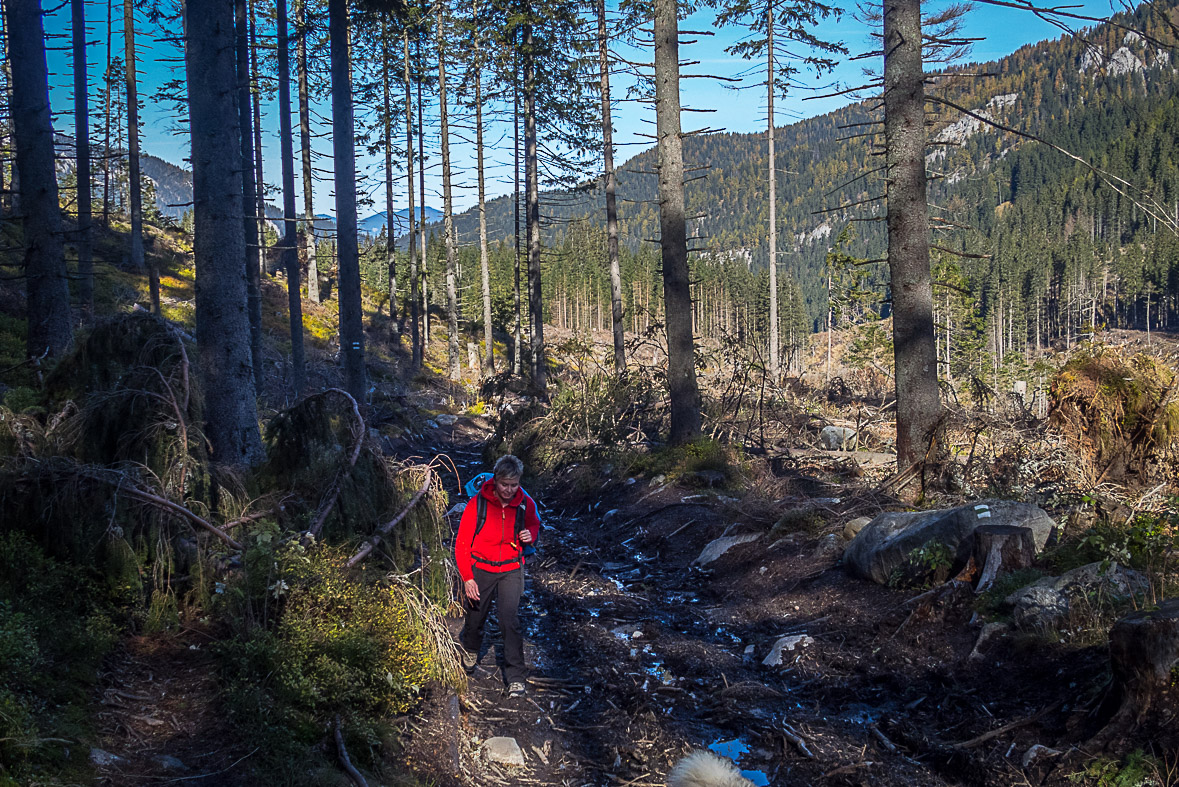 Ďumbier z Lúčok (Nízke Tatry)