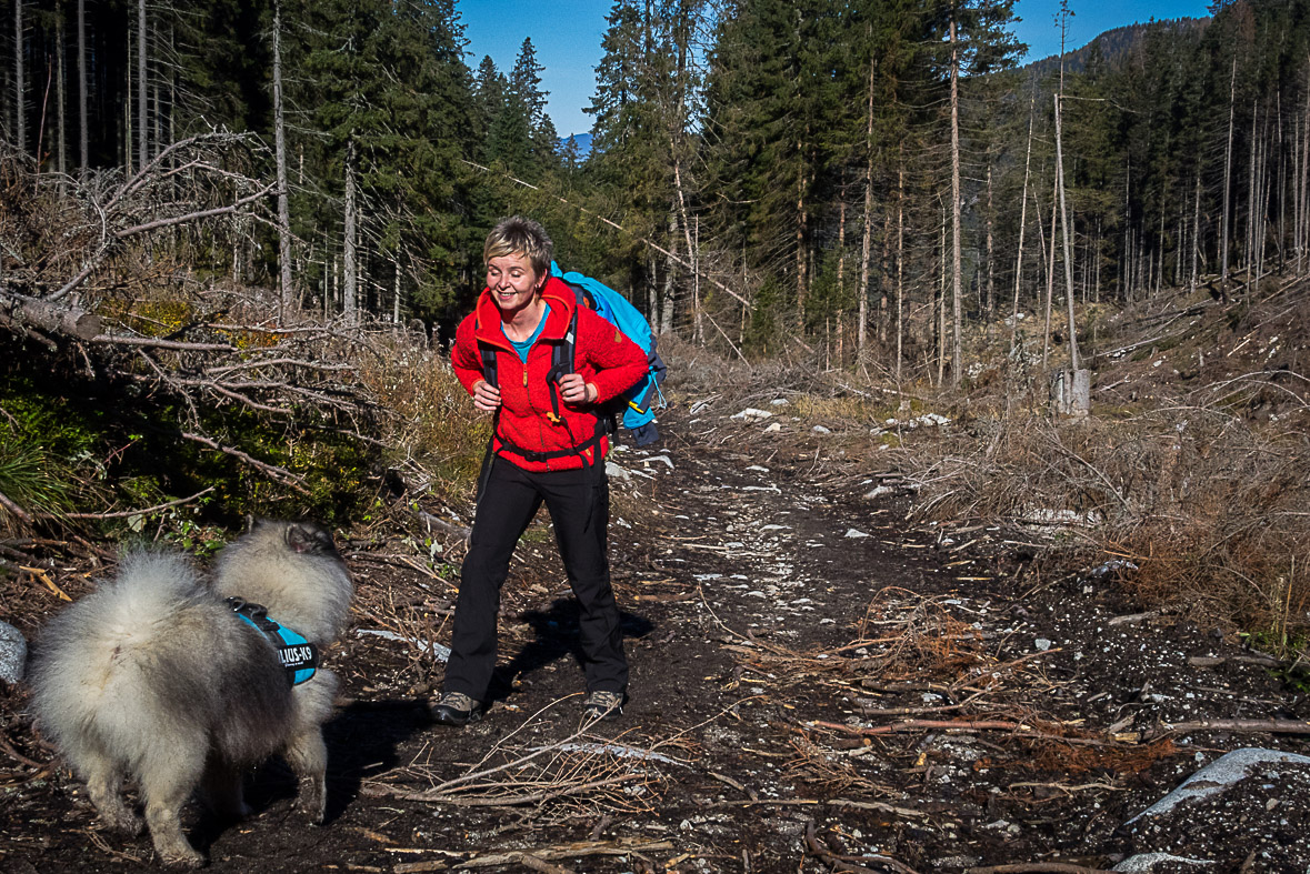 Ďumbier z Lúčok (Nízke Tatry)