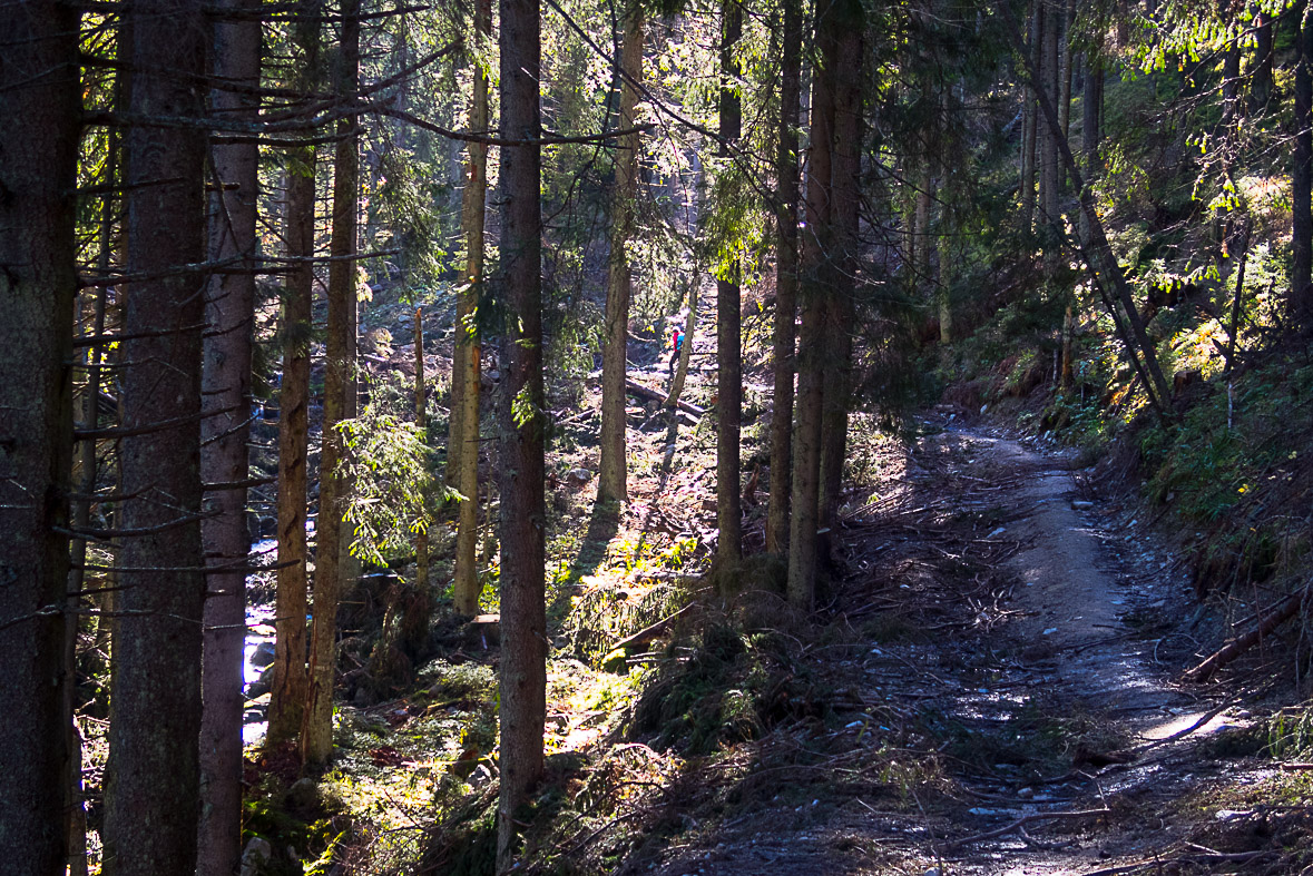 Ďumbier z Lúčok (Nízke Tatry)