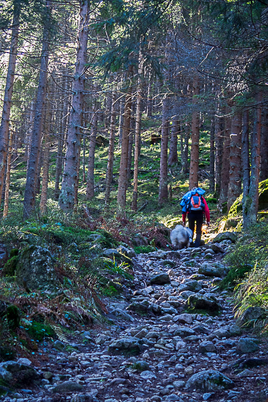 Ďumbier z Lúčok (Nízke Tatry)