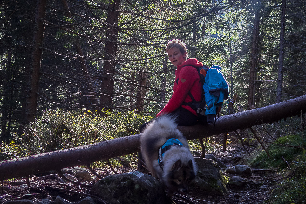 Ďumbier z Lúčok (Nízke Tatry)