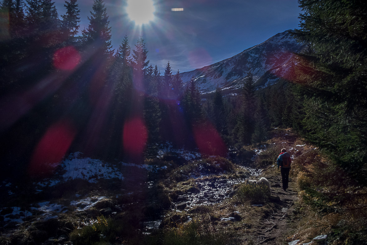 Ďumbier z Lúčok (Nízke Tatry)