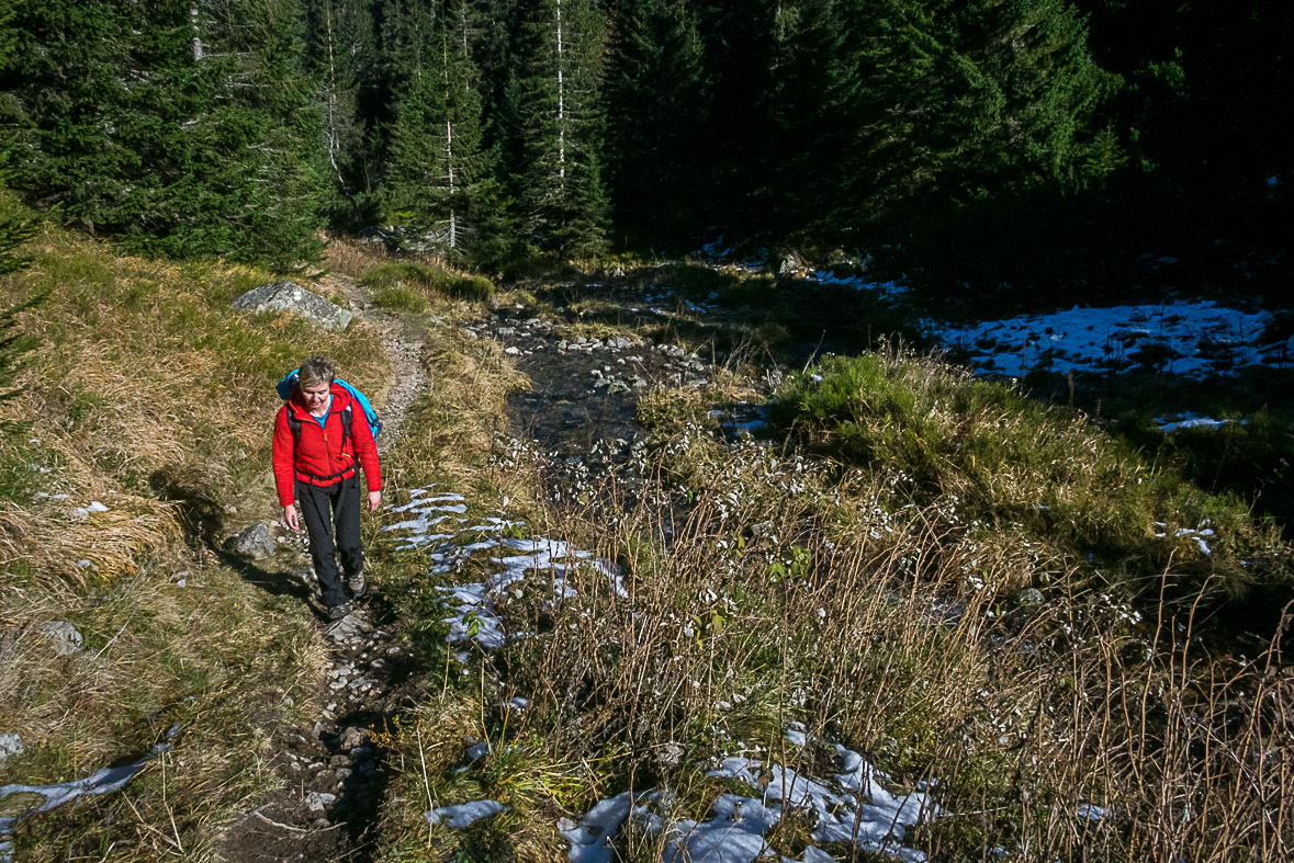 Ďumbier z Lúčok (Nízke Tatry)