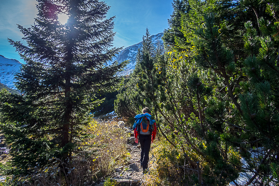 Ďumbier z Lúčok (Nízke Tatry)