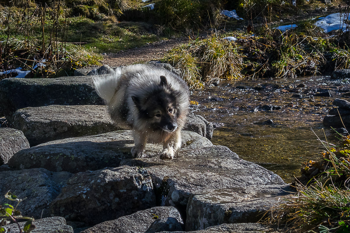 Ďumbier z Lúčok (Nízke Tatry)