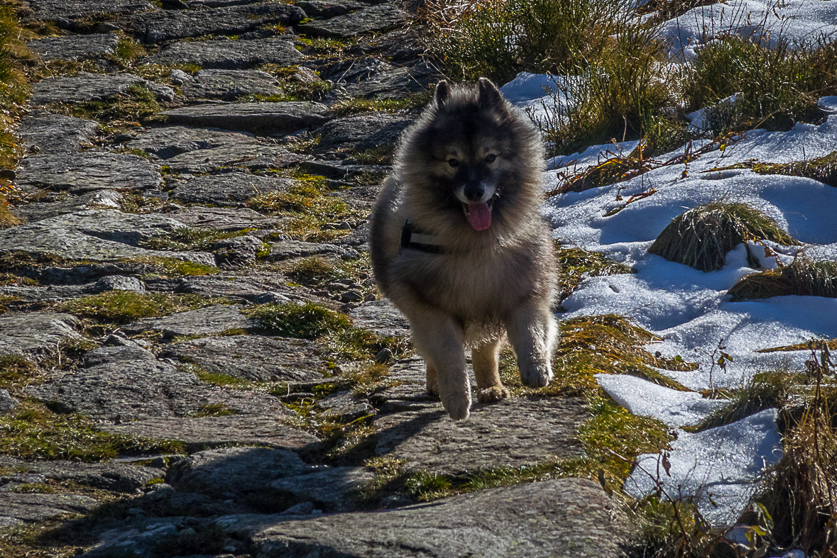 Ďumbier z Lúčok (Nízke Tatry)