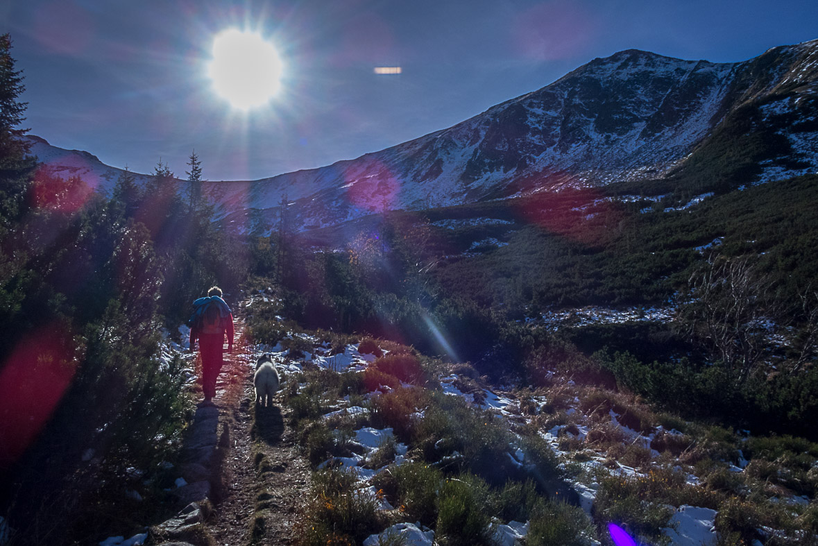 Ďumbier z Lúčok (Nízke Tatry)