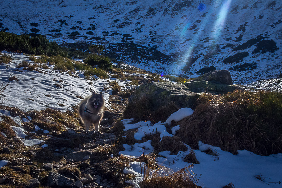 Ďumbier z Lúčok (Nízke Tatry)