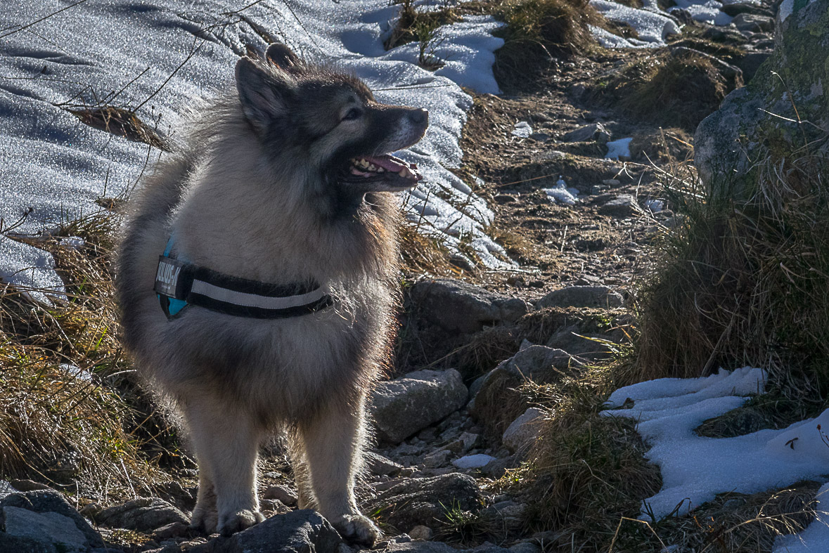 Ďumbier z Lúčok (Nízke Tatry)