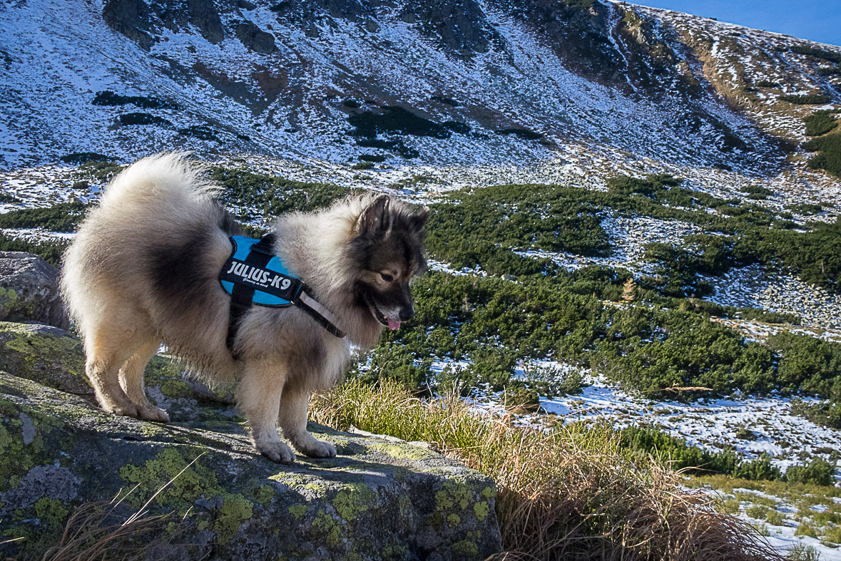 Ďumbier z Lúčok (Nízke Tatry)