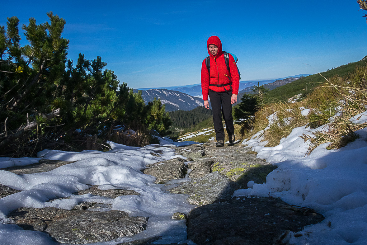 Ďumbier z Lúčok (Nízke Tatry)