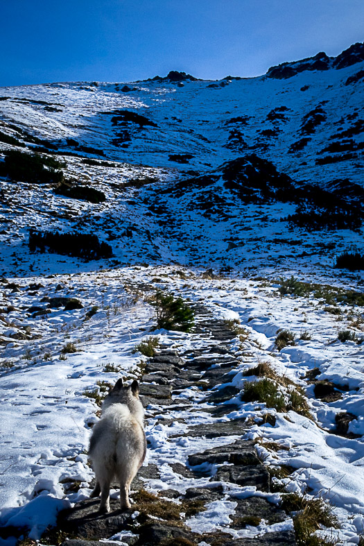 Ďumbier z Lúčok (Nízke Tatry)