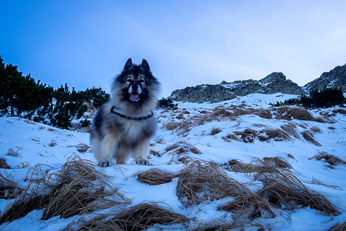 Ďumbier z Lúčok (Nízke Tatry)