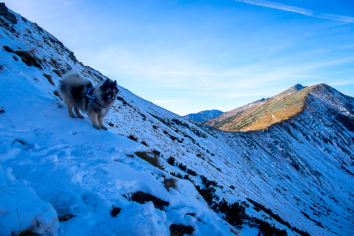 Ďumbier z Lúčok (Nízke Tatry)