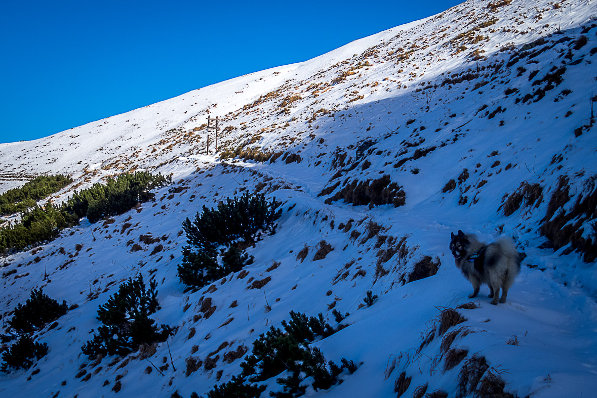 Ďumbier z Lúčok (Nízke Tatry)