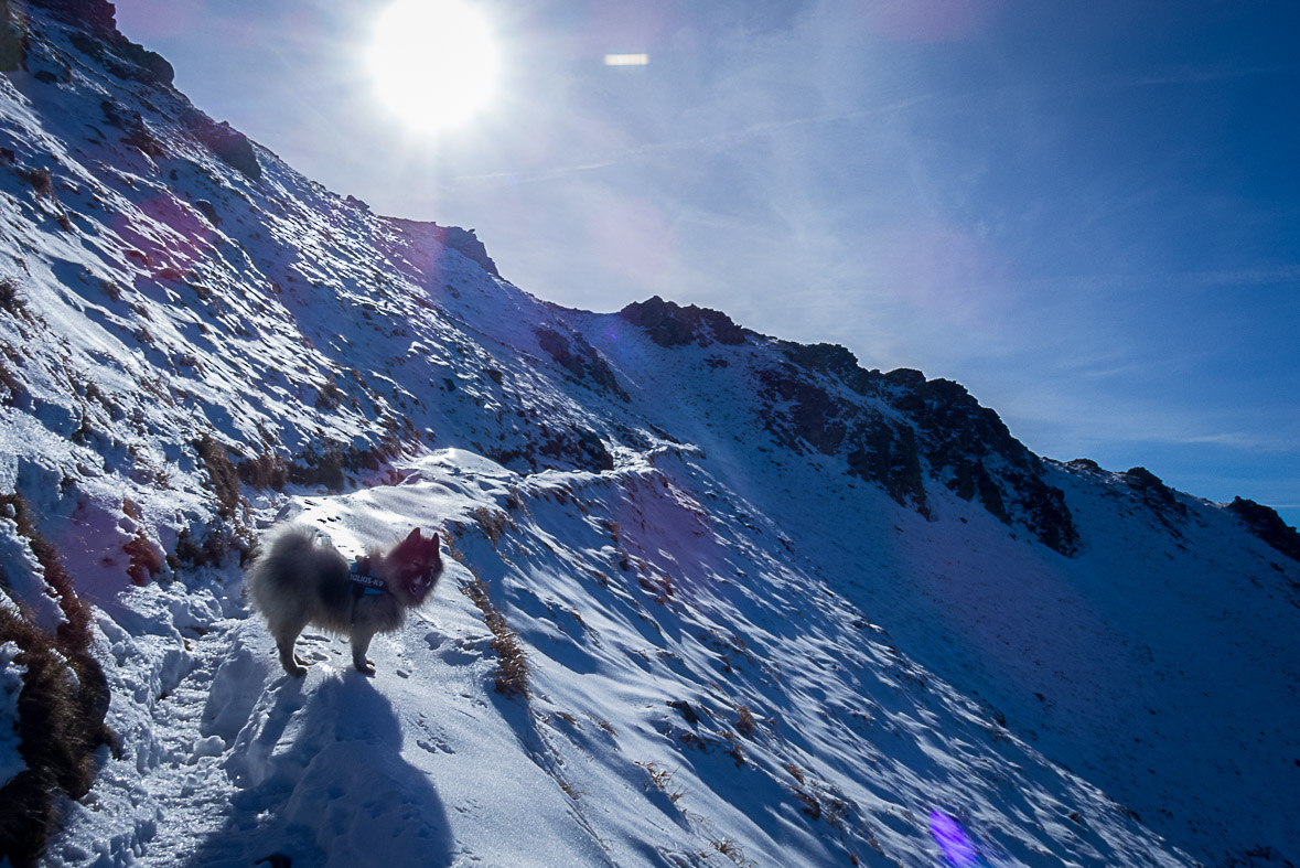 Ďumbier z Lúčok (Nízke Tatry)