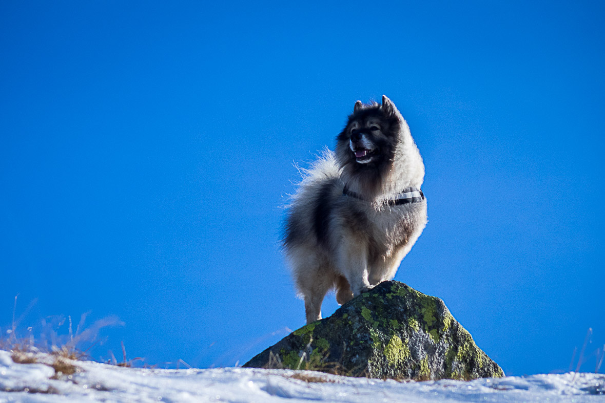 Ďumbier z Lúčok (Nízke Tatry)