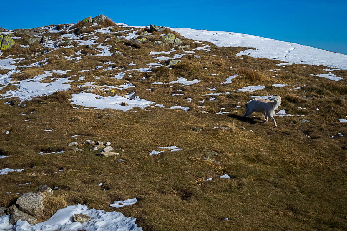 Ďumbier z Lúčok (Nízke Tatry)