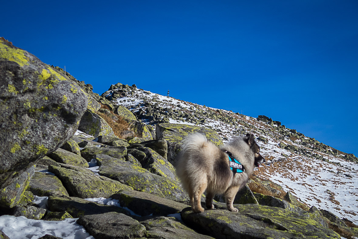 Ďumbier z Lúčok (Nízke Tatry)