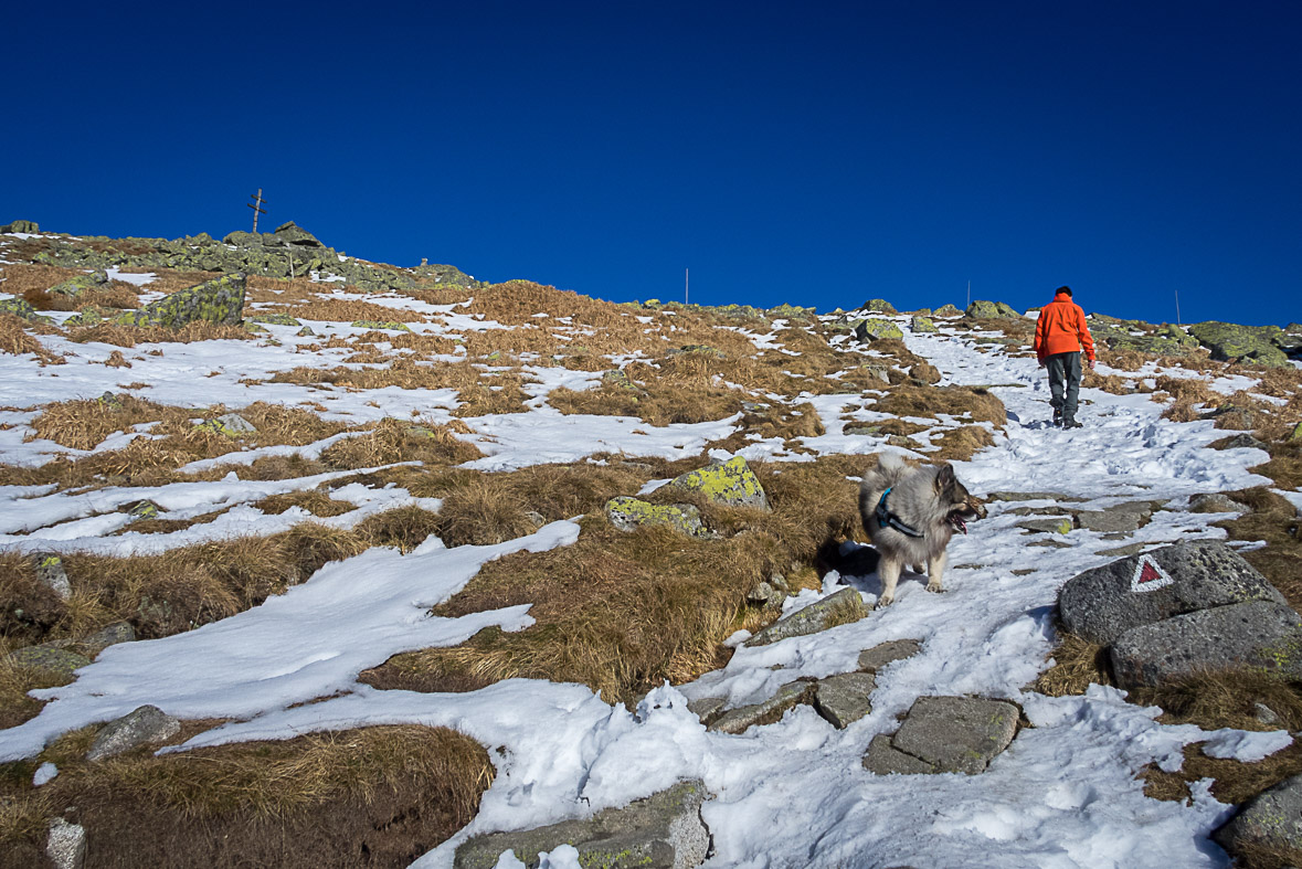 Ďumbier z Lúčok (Nízke Tatry)