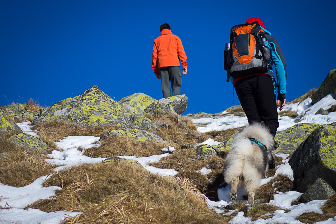 Ďumbier z Lúčok (Nízke Tatry)