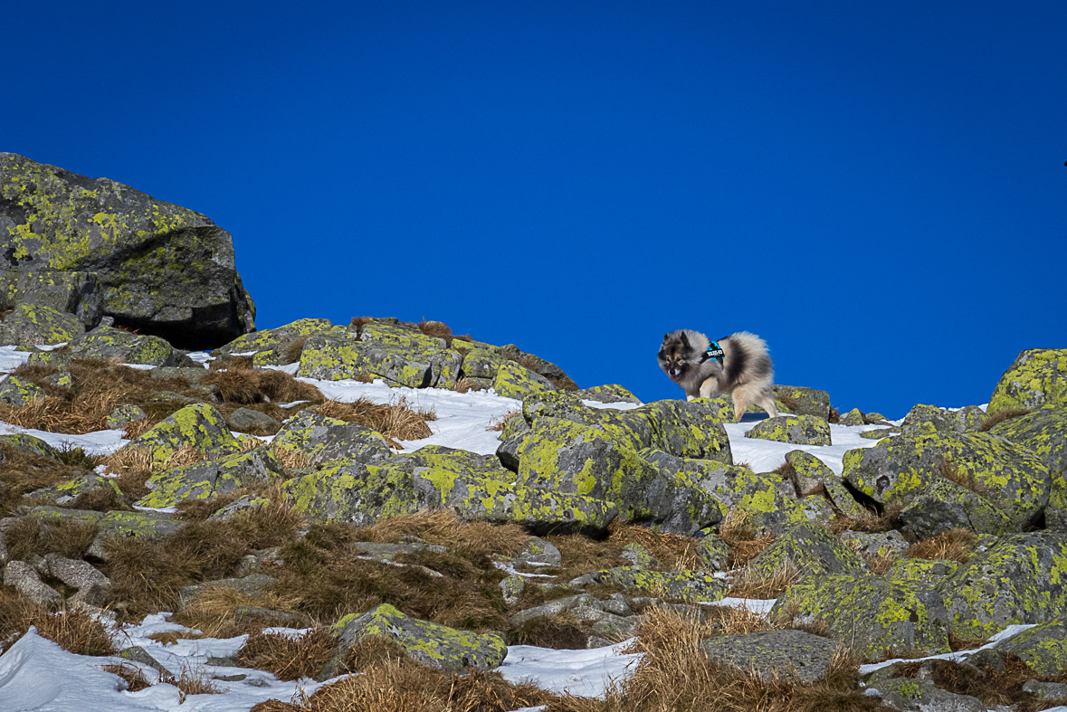 Ďumbier z Lúčok (Nízke Tatry)