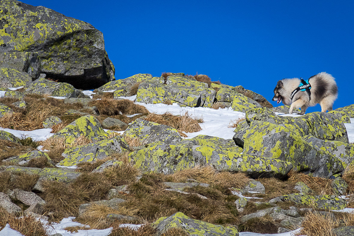 Ďumbier z Lúčok (Nízke Tatry)