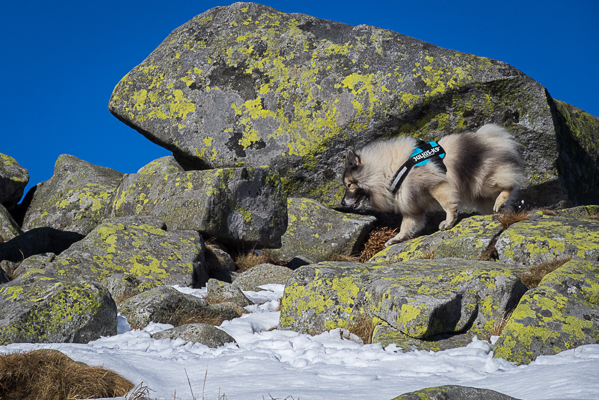 Ďumbier z Lúčok (Nízke Tatry)